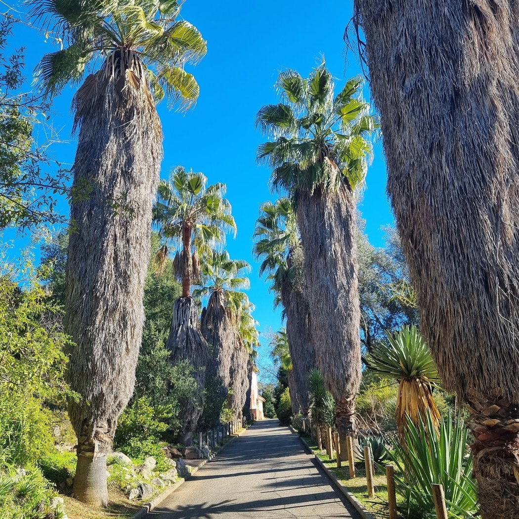 Jardin botanique de Nice 3